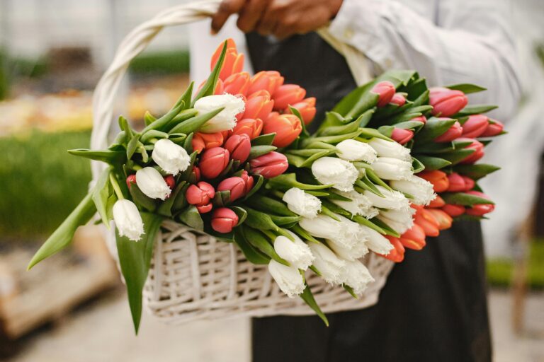 Pesticides et floriculture, les dessous d’une relation toxique 